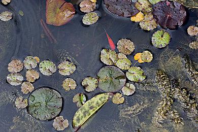 多人联机当囤囤鼠？《蹦蹦小囤鼠》今日正式发售